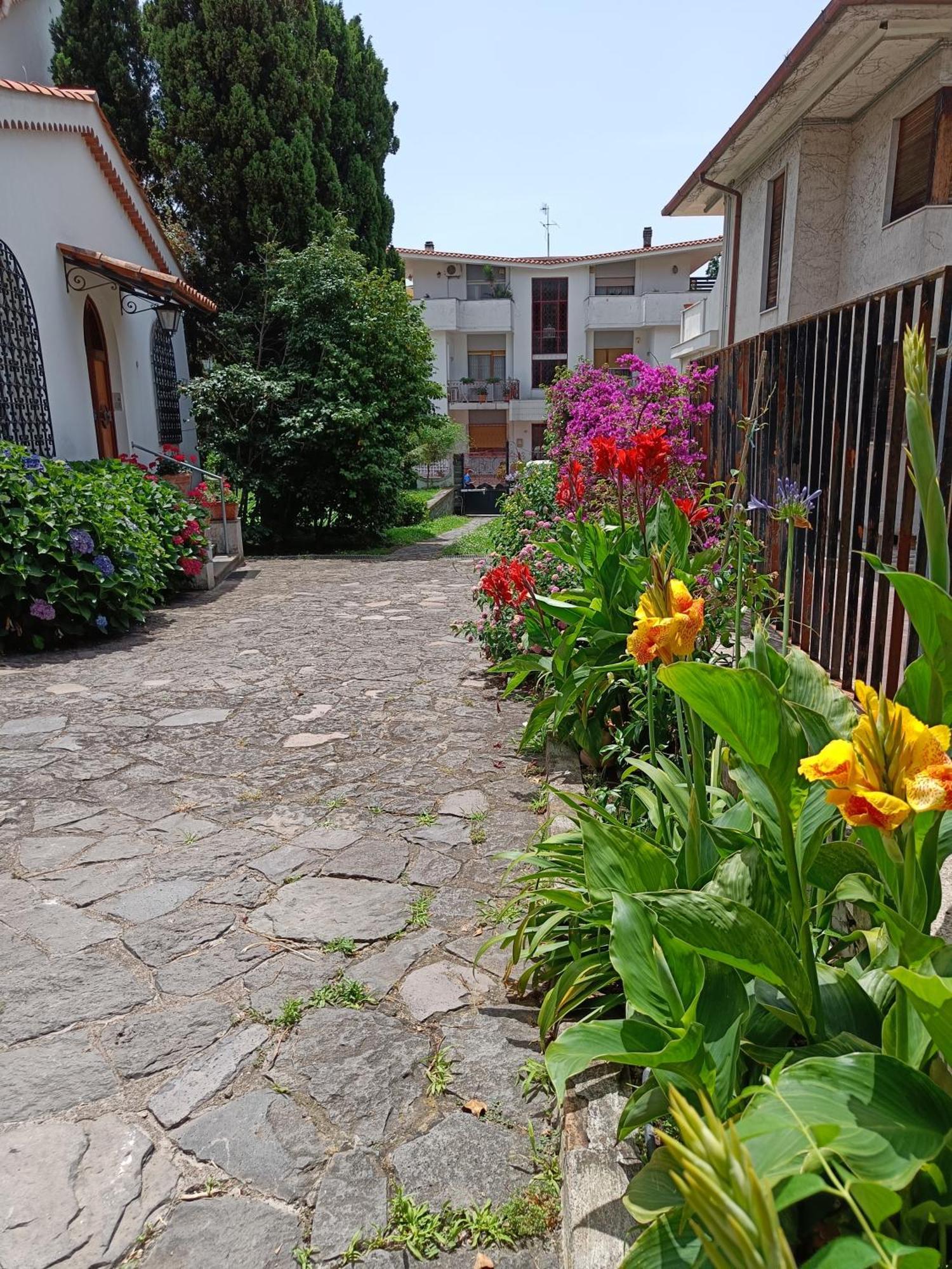 Casa Olivella Apartment Torre del Greco Ngoại thất bức ảnh