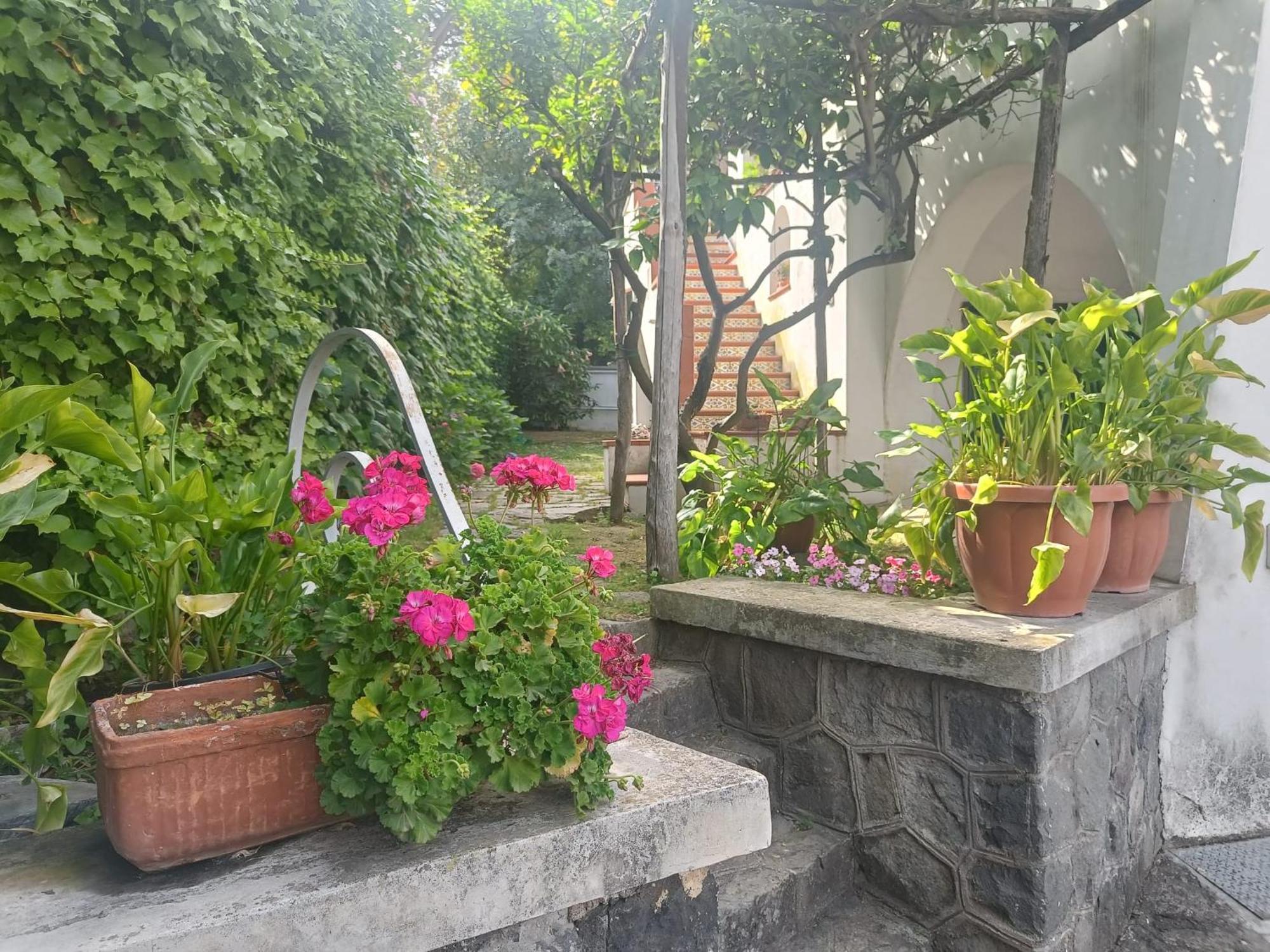 Casa Olivella Apartment Torre del Greco Ngoại thất bức ảnh